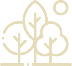 02-Arbres